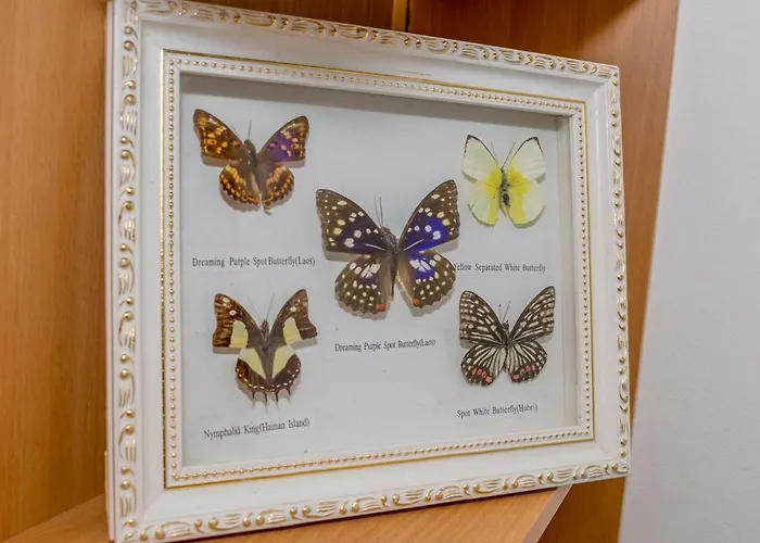 Azure Appartement Split